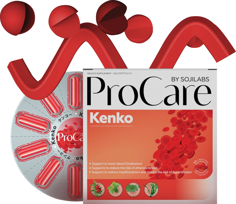 Original ProCare Kenko packaging